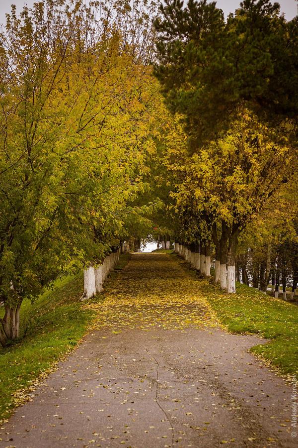 Аллея к беседке Островского