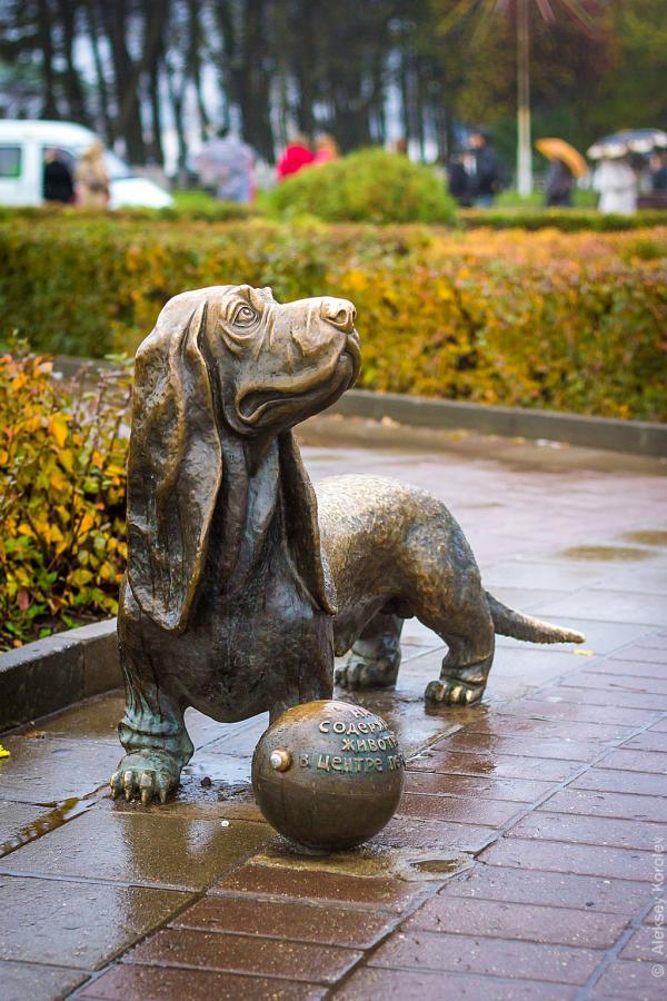 Такса, Кострома