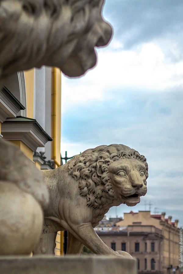Питерские львы