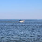 Посмотреть крупнее