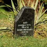 Посмотреть крупнее