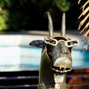 Посмотреть крупнее