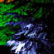 Посмотреть крупнее