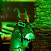 Посмотреть крупнее