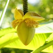 Посмотреть крупнее