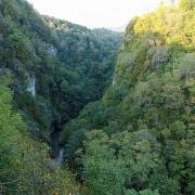 Посмотреть крупнее