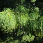 Посмотреть крупнее