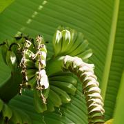 Посмотреть крупнее