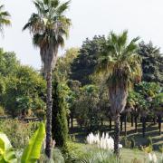 Посмотреть крупнее