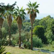 Посмотреть крупнее