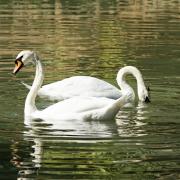 Посмотреть крупнее