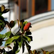 Посмотреть крупнее