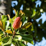 Посмотреть крупнее