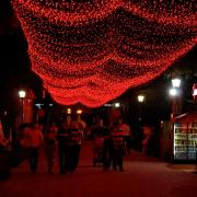 Посмотреть крупнее