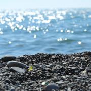 Посмотреть крупнее