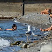 Посмотреть крупнее