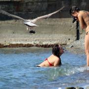 Посмотреть крупнее