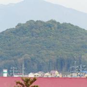 Посмотреть крупнее