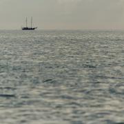 Посмотреть крупнее