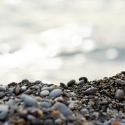 Посмотреть крупнее