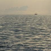 Посмотреть крупнее