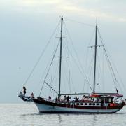 Посмотреть крупнее