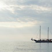 Посмотреть крупнее