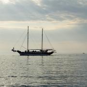 Посмотреть крупнее