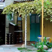 Посмотреть крупнее