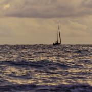 Посмотреть крупнее