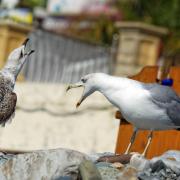 Посмотреть крупнее