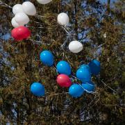 Посмотреть крупнее