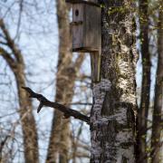 Посмотреть крупнее