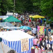 Посмотреть крупнее