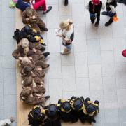 Посмотреть крупнее