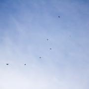 Посмотреть крупнее