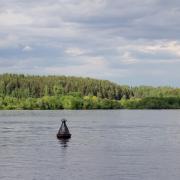 Посмотреть крупнее