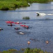 Посмотреть крупнее