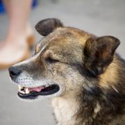 Посмотреть крупнее