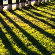 Посмотреть крупнее