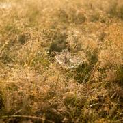 Посмотреть крупнее