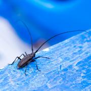 Посмотреть крупнее