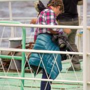 Посмотреть крупнее