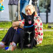 Посмотреть крупнее