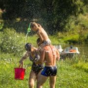 Посмотреть крупнее