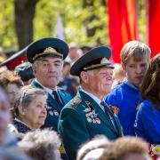 Посмотреть крупнее