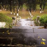 Посмотреть крупнее