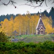 Посмотреть крупнее