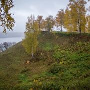 Посмотреть крупнее