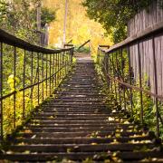 Посмотреть крупнее